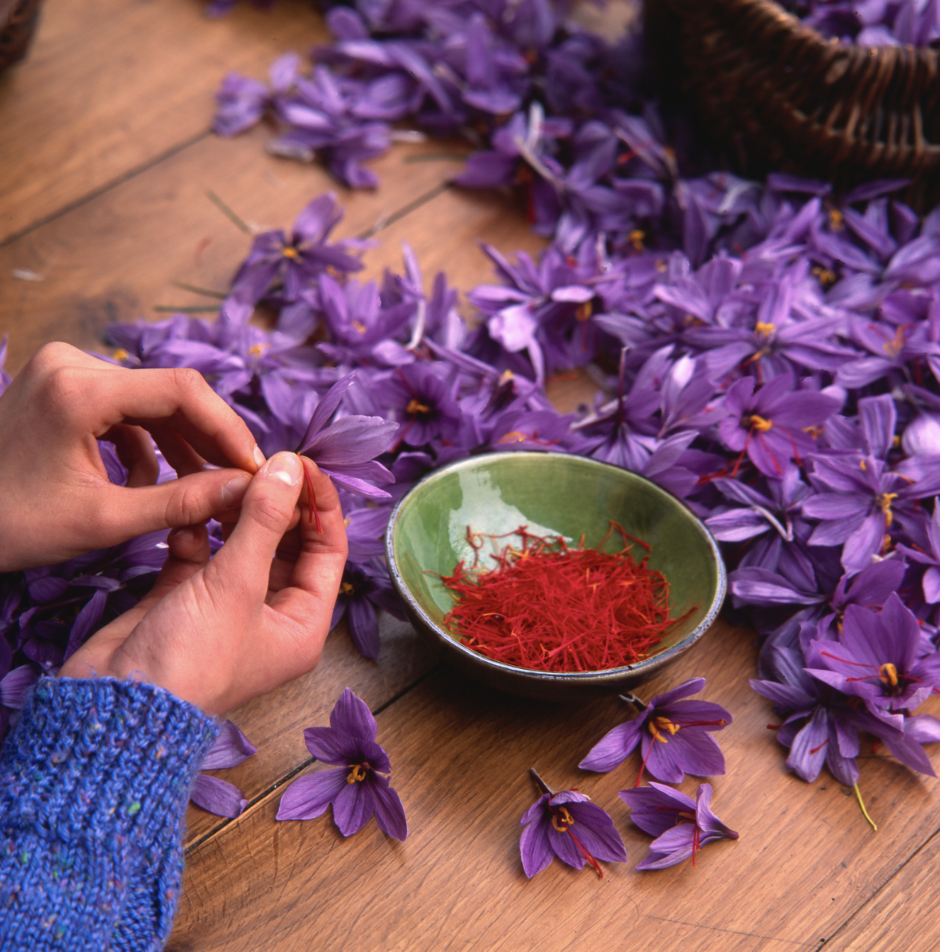 Premium saffron threads